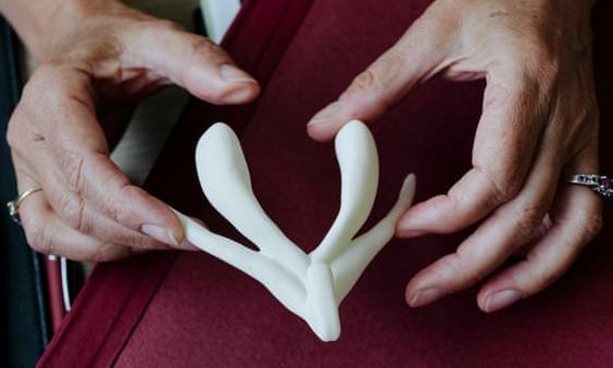 Model of an anatomically correct clitoris, in white, held by human hands