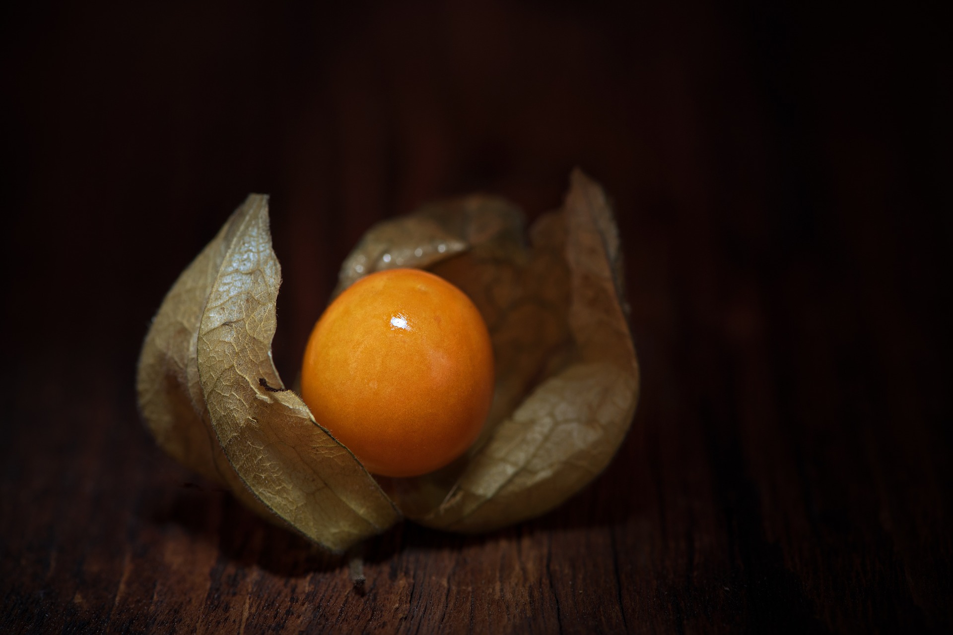Physalis or Cape Gooseberry perhaps looking like a solar sphere, on a table, with a dark backround