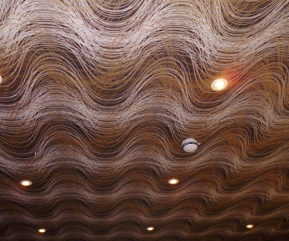 Dubious ceiling