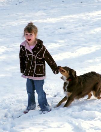 Surprised girl as tugged by herding dog