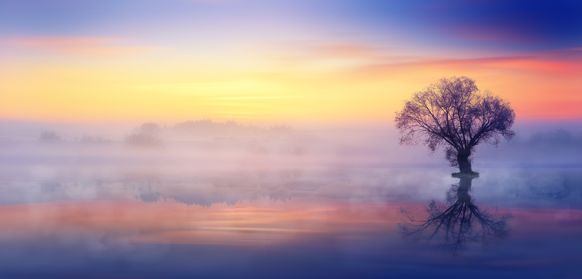 Dawn is imminent, there are so many beautiful colours, a tree and a lake and magic happening...
