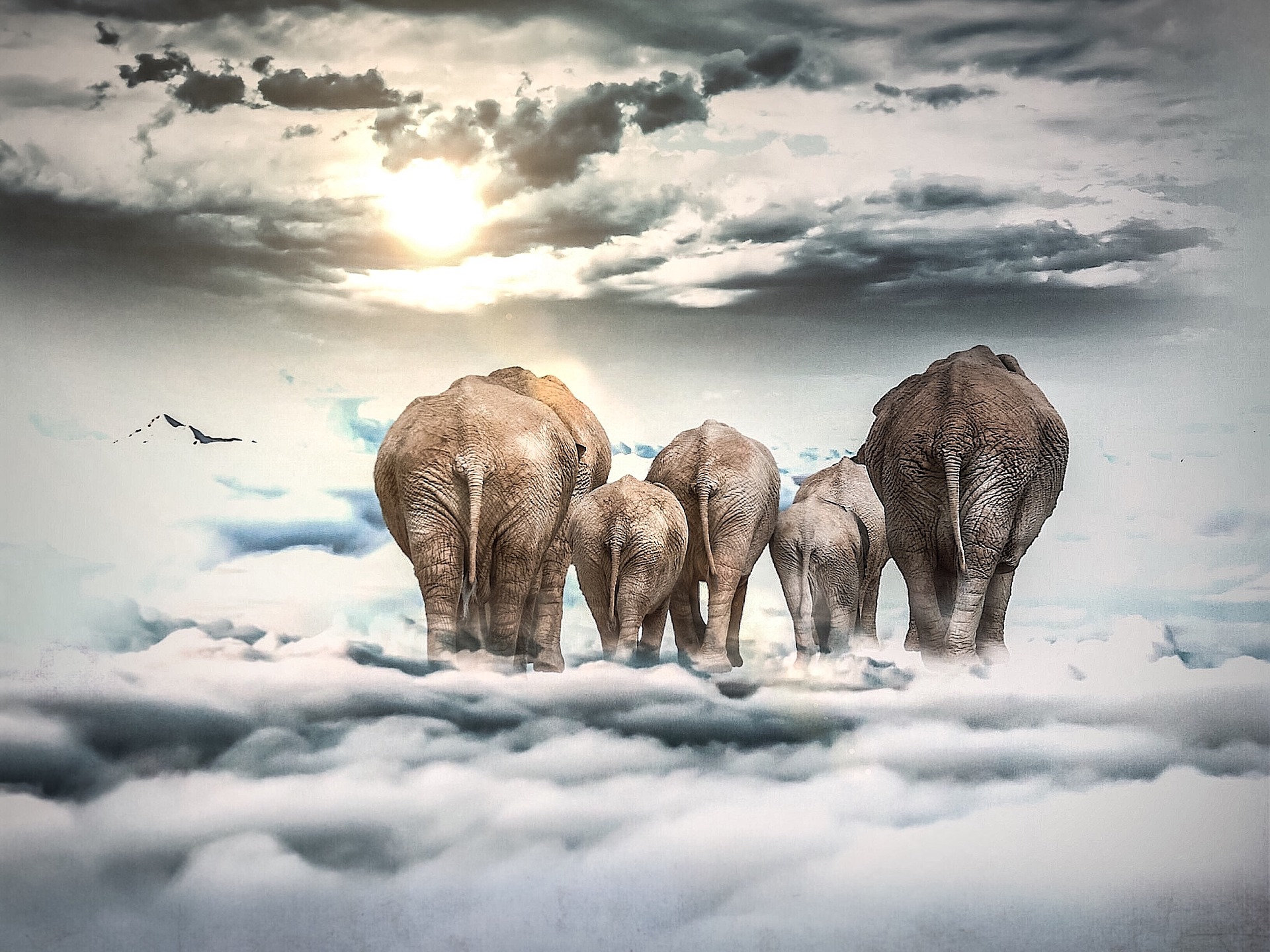 A herd of elephants appear to be walking above the clouds, towards the warm Sun. It is as if they are heading to heaven. The tips of a few snowy mountain peaks are also visible, above the clouds.