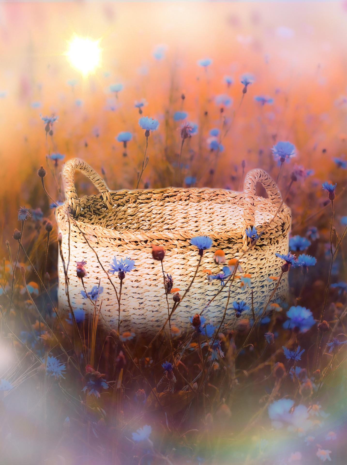 An ethereal painting of a field of blue flowers. There is a basket in the foreground and the soft sun in the background.