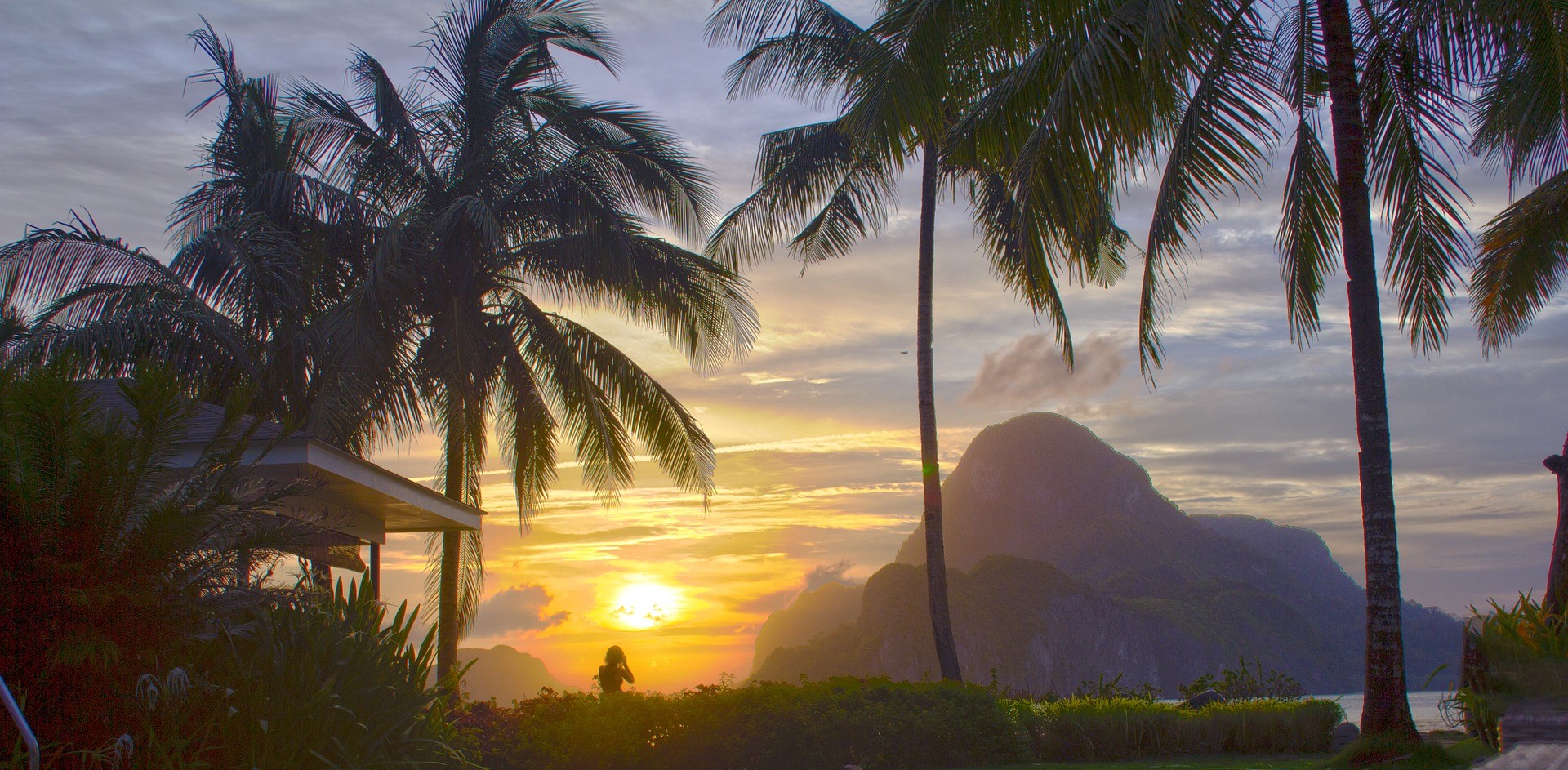 A day of light begins in the Philippines, with palm trees and jungly hill and rising sun. A woman in the mid-distance is enjoying the spectacle.