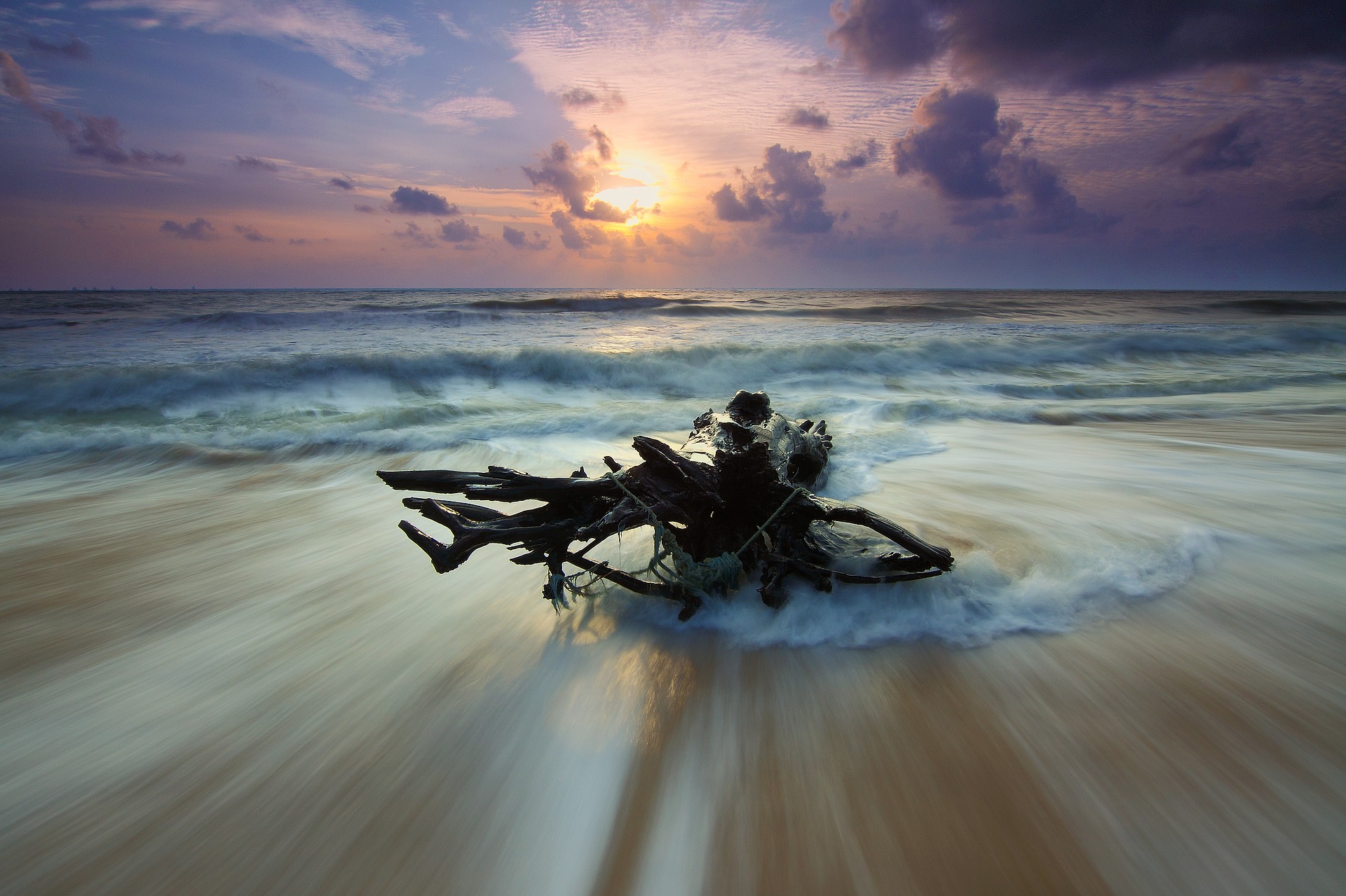 The sun is rising over a beach scene. In the foreground on the sand is a tree trunk and roots, around which the surf streams smoothly. Beyond that there is more surf and light blue sea. Beyond that there is darker blue sea. Beyond that is the horizon sun with a mauve-coloured sky and clouds.