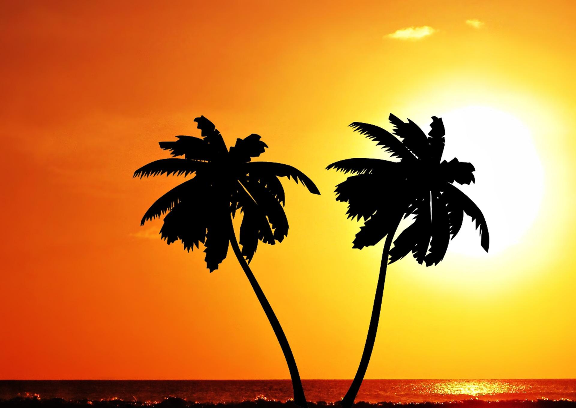 By the coast, two palm trees are in silhouette against an orange-yellow sky and tropical sun