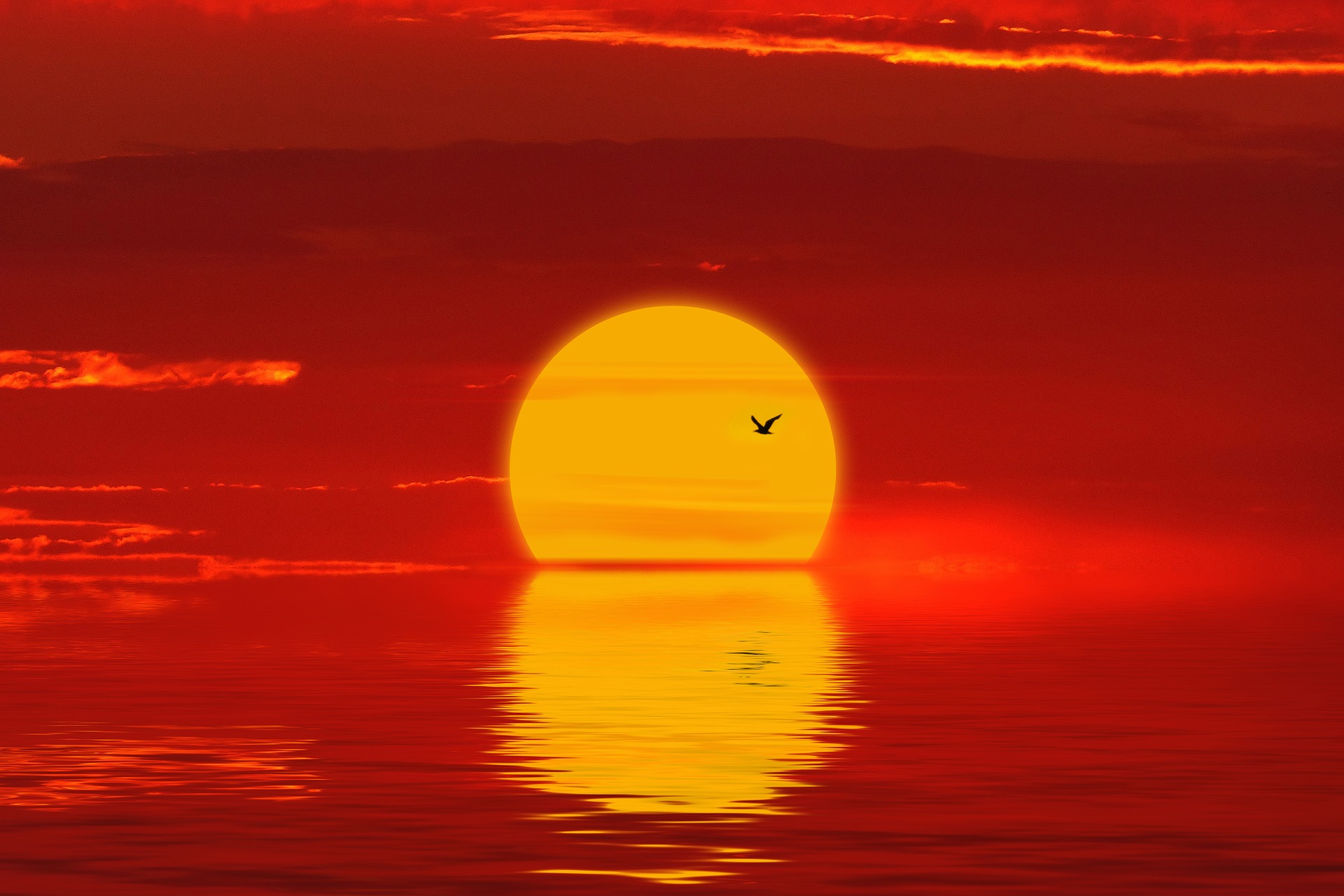 A giant sun is emerging over the ocean horizon. It is yellow and reflected in the ocean. The ocean and sky are all red. A bird flies across the face of the sun.
