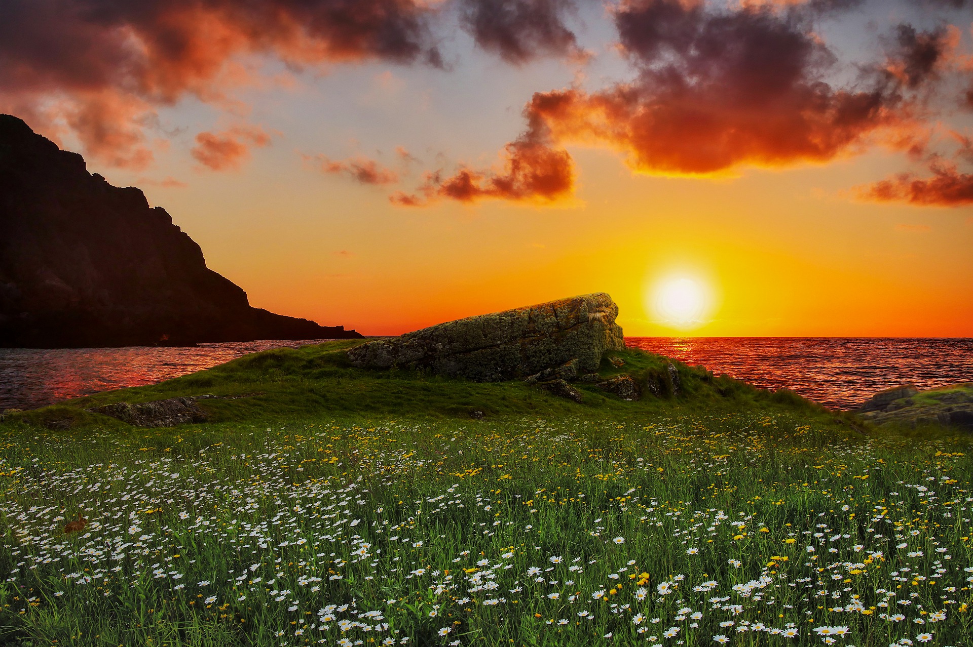 In the foreground, a coastline promontory juts back. A meadow covers it with beautiful wild flowers. On the horzon, the sun rises.