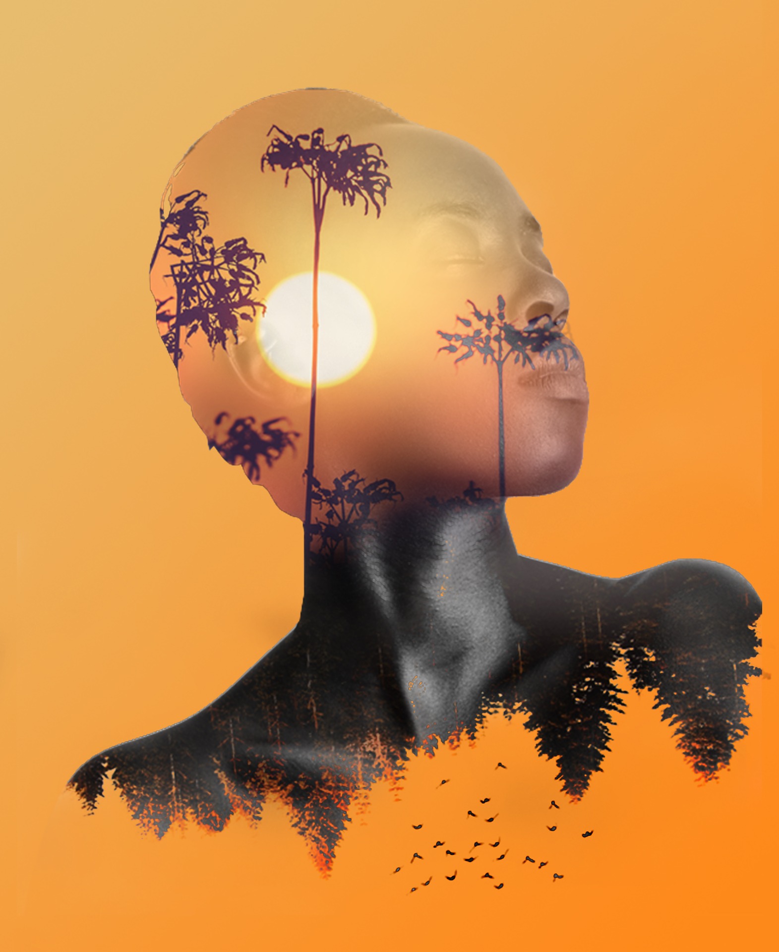 Against an orange background, we see a young black woman's head and shoulders. Her eyes are closed and her head is turned to the right. A sun is glowing in her mind, whilst trees and birds are also manifesting there.