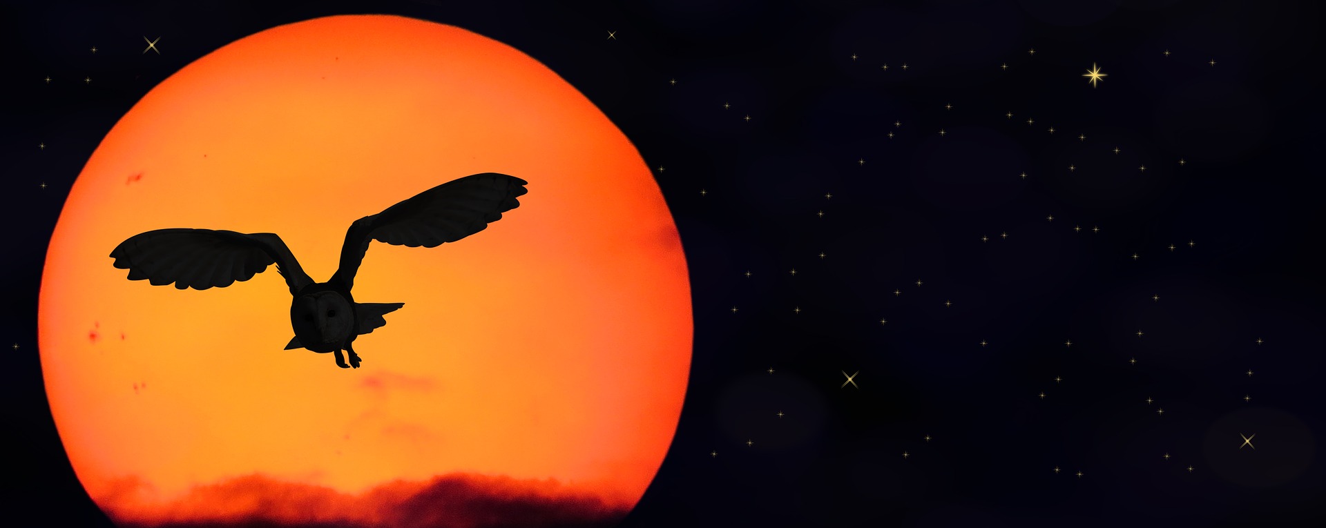 An owl flies towards a large orange sun in the left of the image, whilst the starry sky covers the right of the image