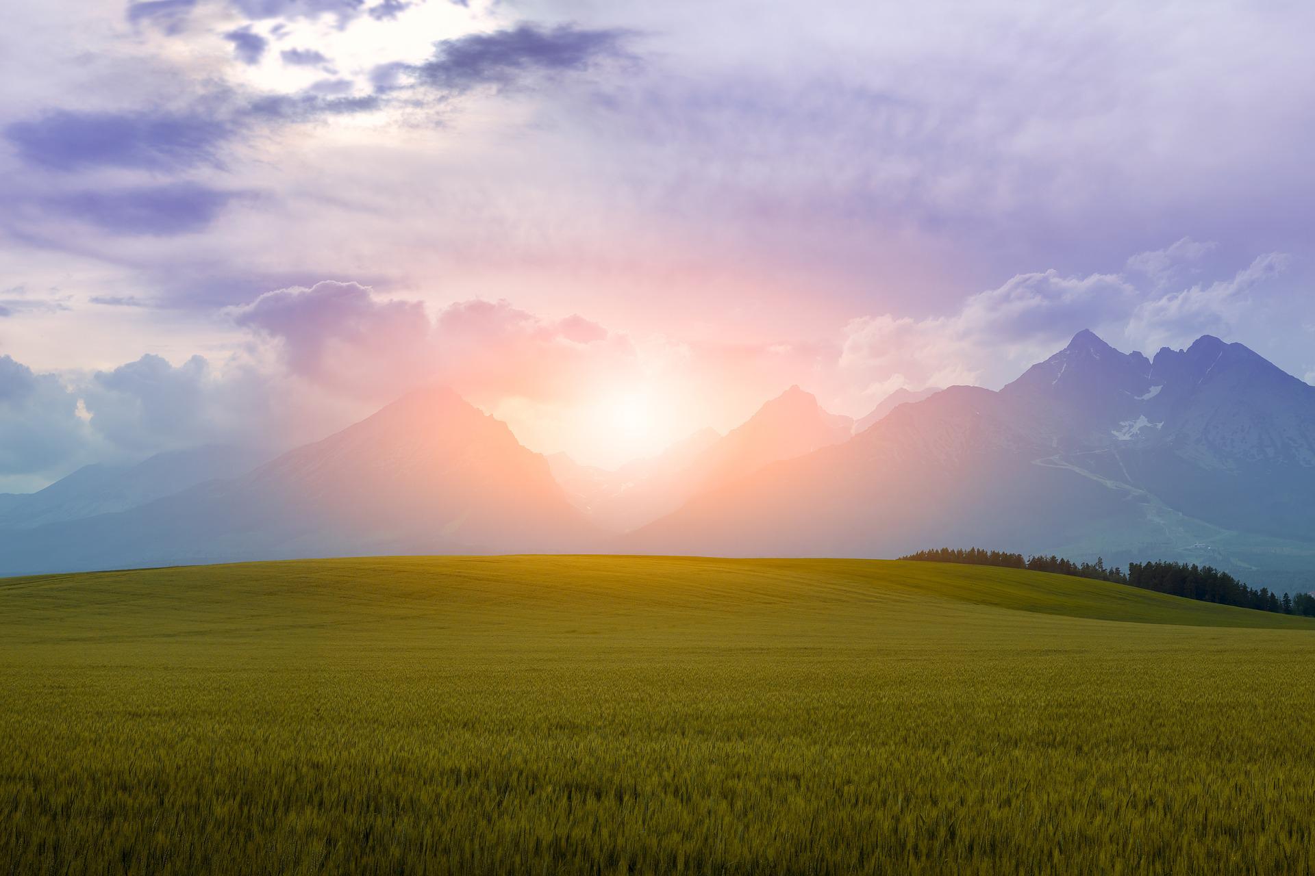The sun is rising (or setting) between two mountains. The sky is violet, blue, rose. In the foreground is a deep green crop and a wood. Altogether a beautiful mix of colours with a soft mood.