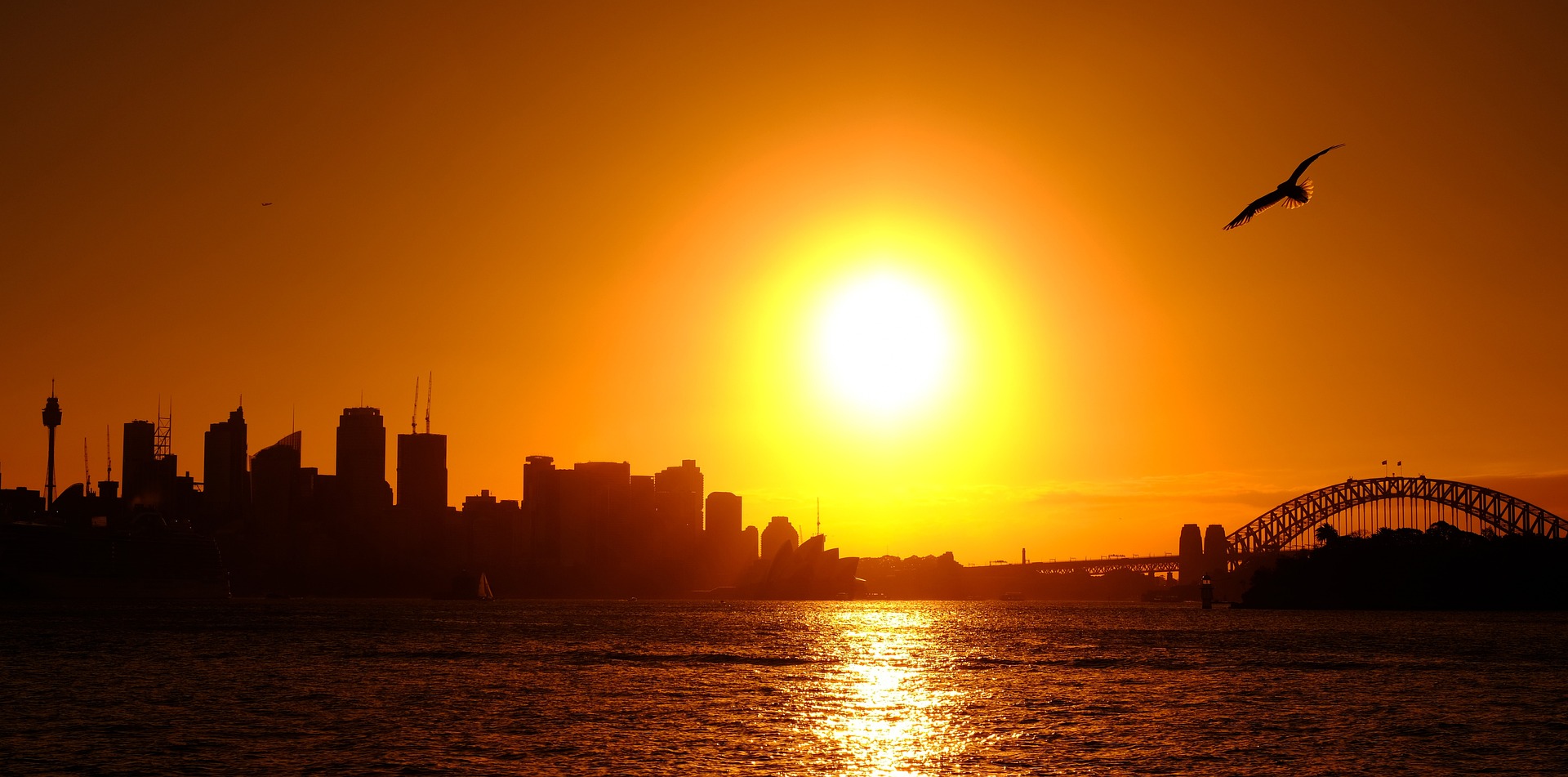 A sunrise in Sydney, Australia