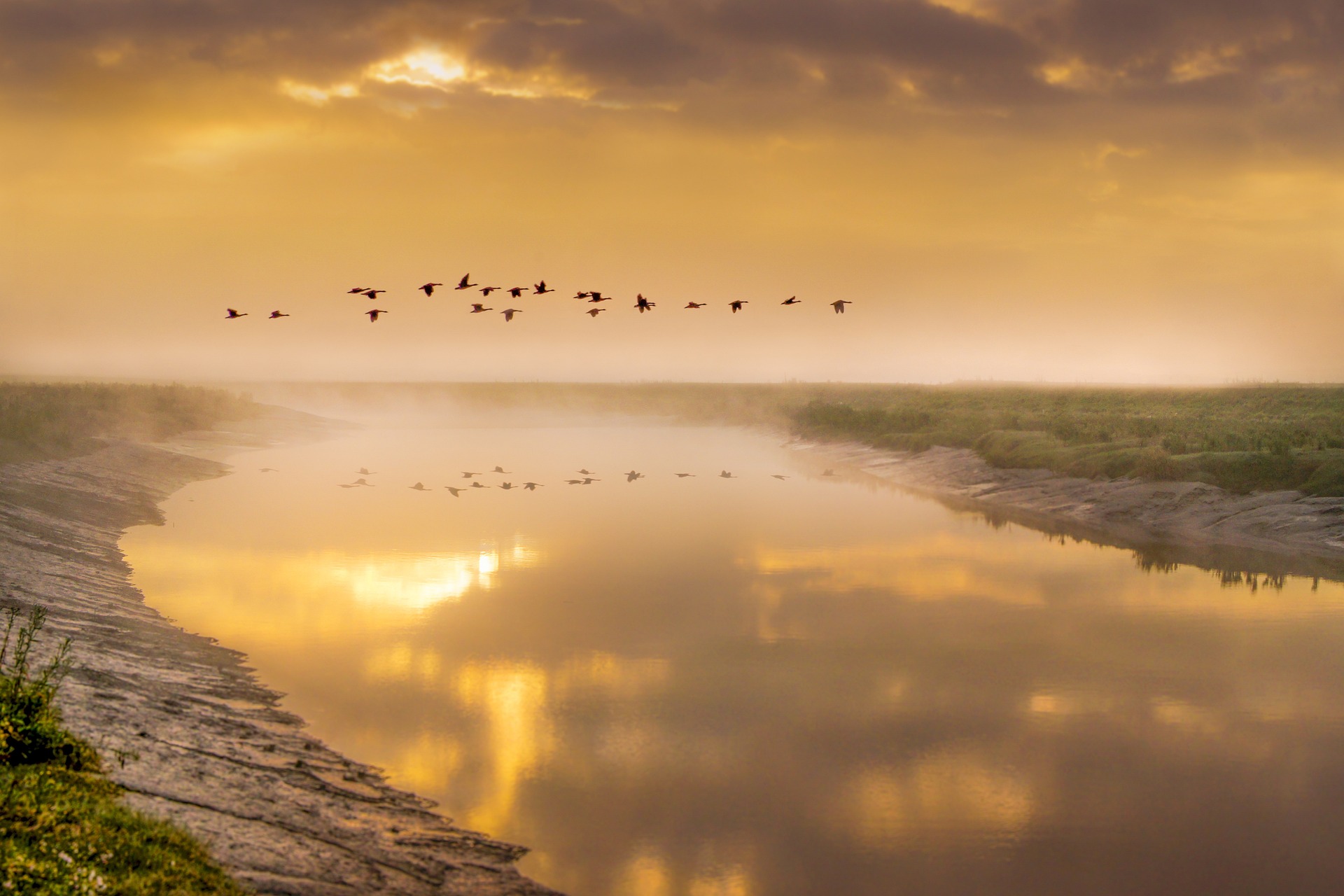 A sunrise somewhere in the world. Geese fly across a river.