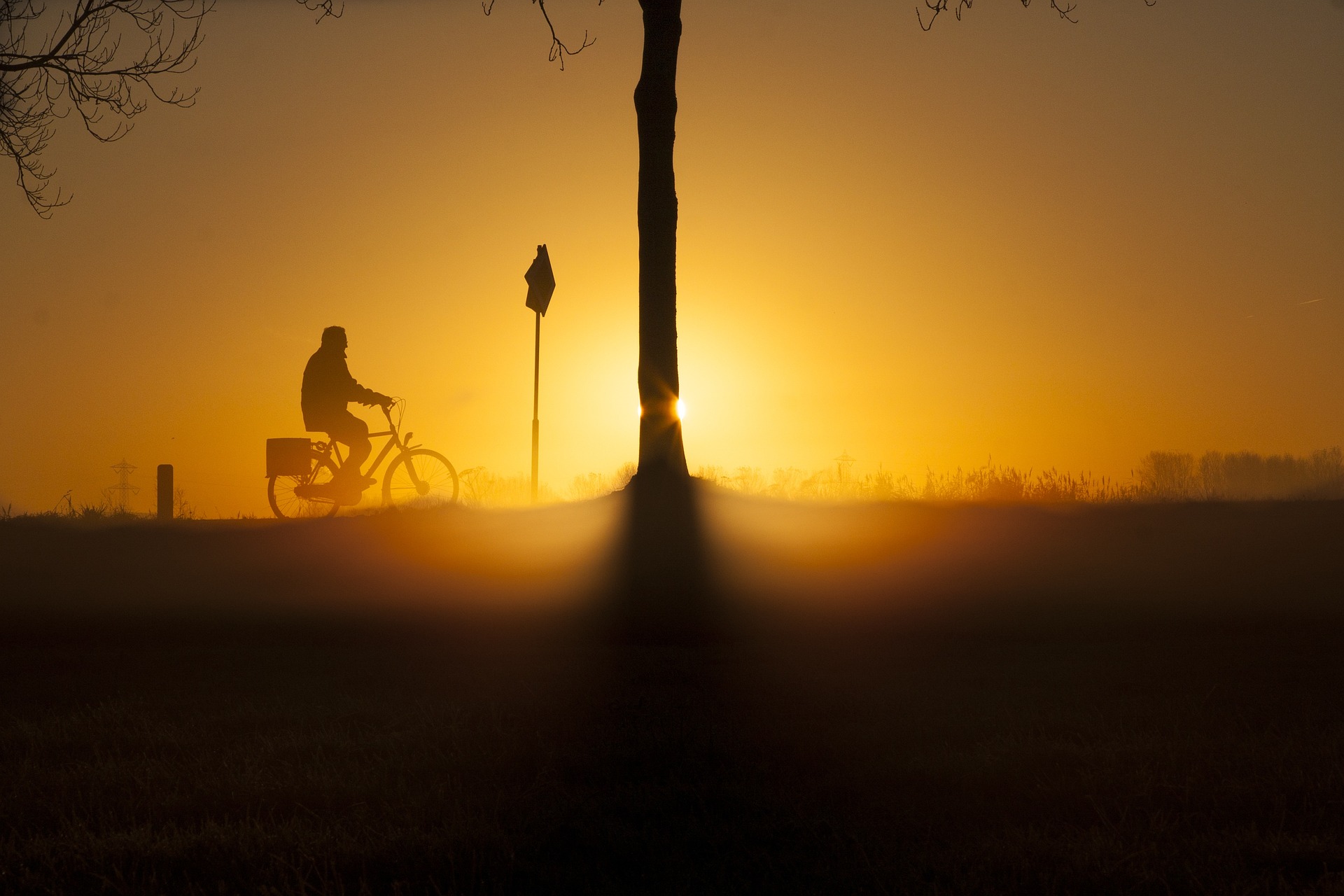 A sunrise somewhere in the world. In the foreground, there is the silhouette of a man on a bicycle and a tree.