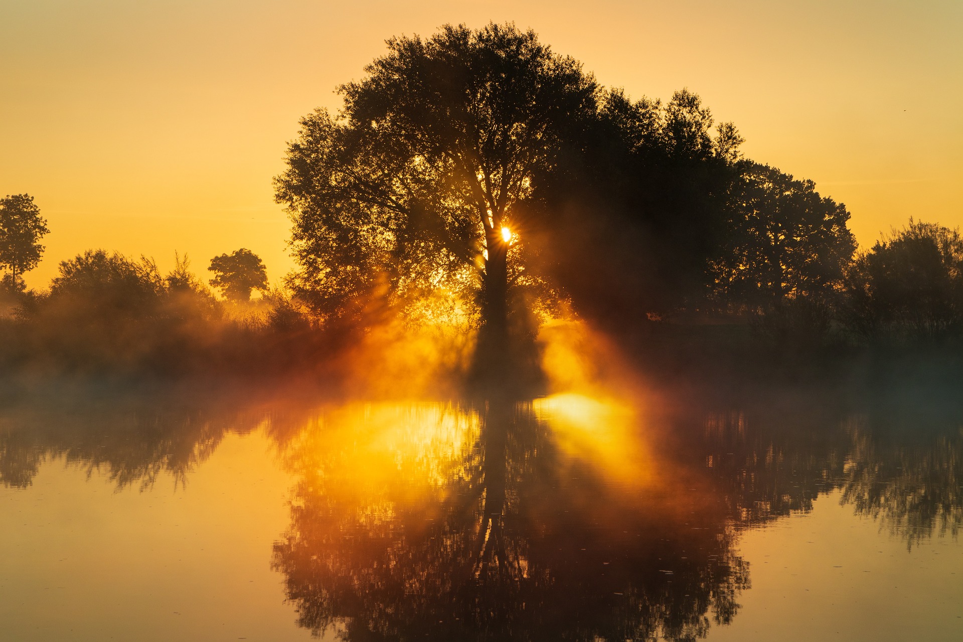A sunrise somewhere in the world. In the mid-ground there is the silhouette of a large tree, through which the sun appears. In the foreground is a lake, on which the sun's rays reflect.