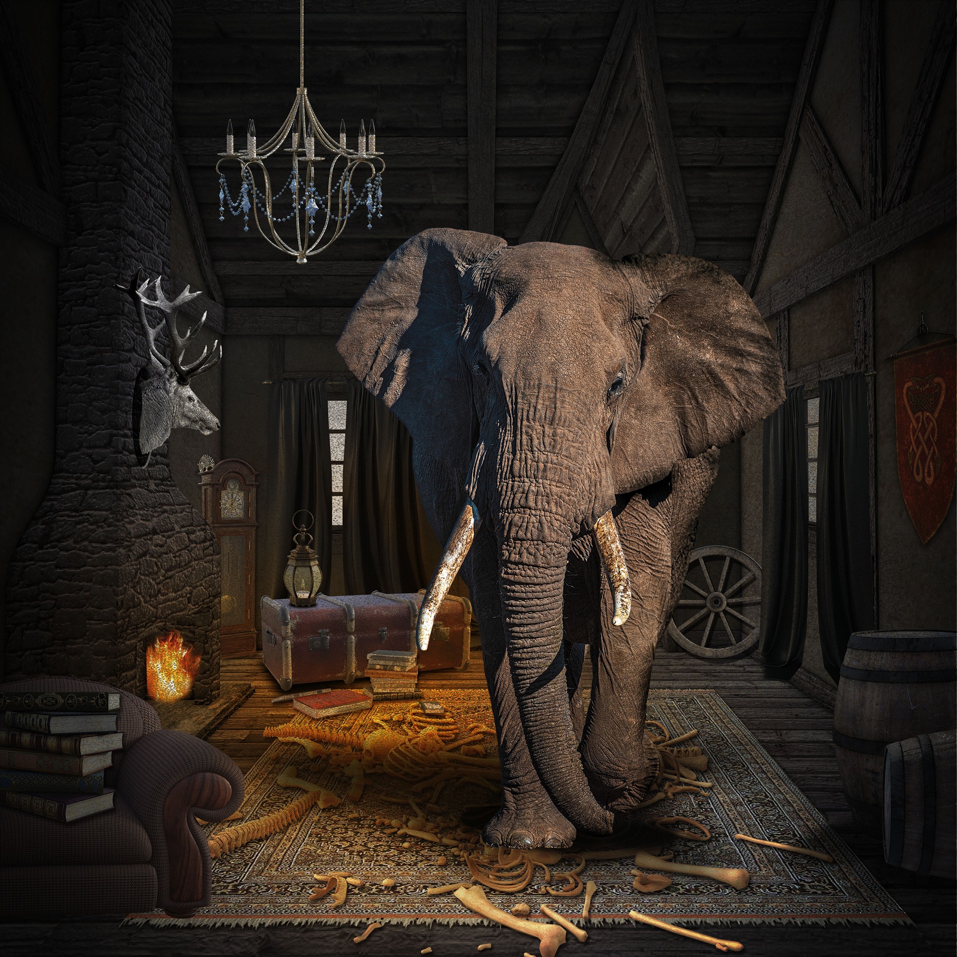 An elephant is in the centre of a large room