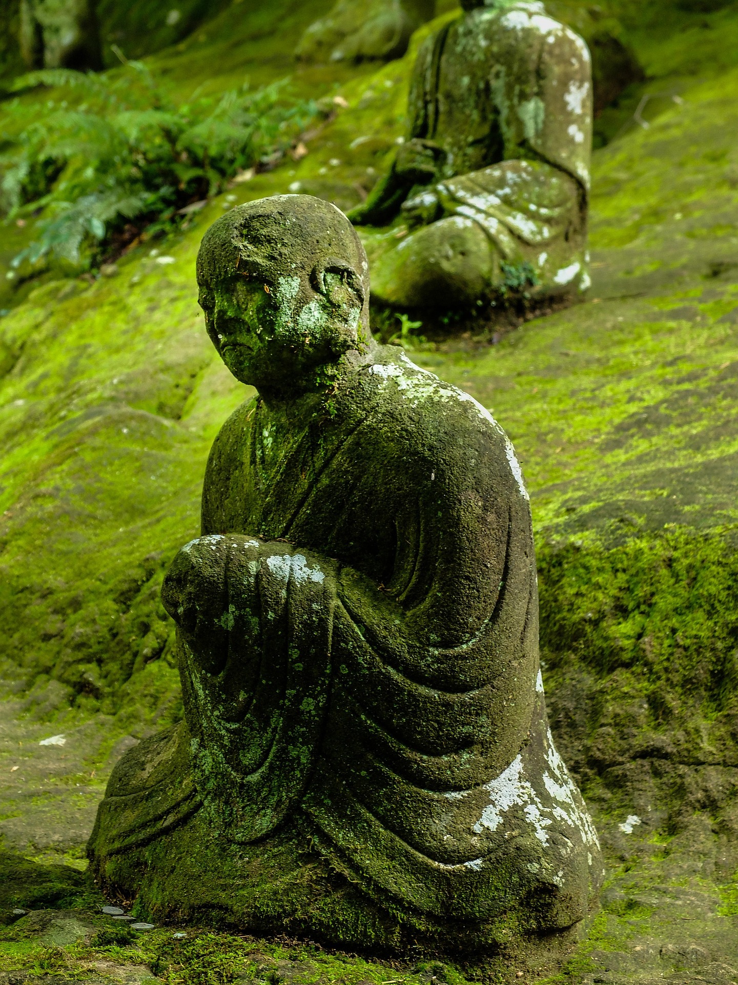 A seated Buddha statue covered in moss seems to be looking at you, perhaps imploring you to do something or just curious. There are other mossy Buddhas in the background.